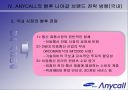 anycall 브랜드 젼략 변화 32페이지