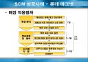 SCM(Supply Chain Management)에 관하여 13페이지