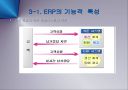 ERP에 관하여 10페이지