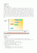 아시아나항공의마케팅전략 14페이지