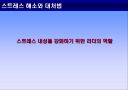 스트레스 해소와 대처 법 11페이지