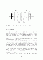 전기투석(Electrodialysis) 3페이지