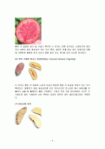 감자의 특징과 효능 및 영양성분 (식품학) 6페이지