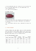 고구마의 특징과 효능 및 영양성분 (식품학) 6페이지