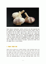 마늘의 특징과 효능 및 영양성분 (식품학) 2페이지