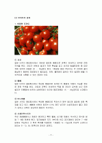 토마토의 특징과 효능 및 영양성분 (식품학) 5페이지