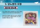 당뇨병 예방과 식이-운동요법 ppt자료(식사요법) 13페이지