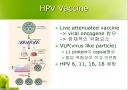 HPV와 자궁경부암 14페이지