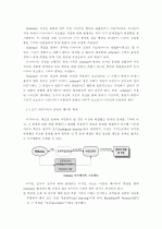 디자인 프로세스의 체계화 및 스키마(Schema) 2페이지