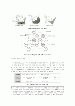 디자인 프로세스의 체계화 및 스키마(Schema) 9페이지