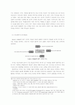 디자인 프로세스의 체계화 및 스키마(Schema) 11페이지