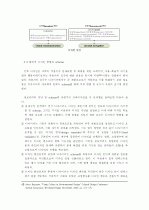 디자인 프로세스의 체계화 및 스키마(Schema) 32페이지