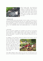 흙(토양)의 특성, 특징, 중요성, 토양오염, 대책 3페이지