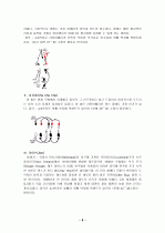 댄스스포츠란 8페이지