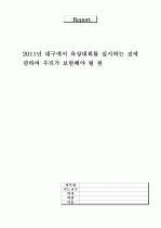 2011년 대구에서 육상대회개최에 대하여 보완해야 할 점 1페이지