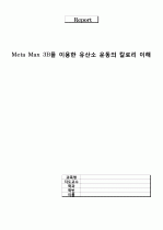 Meta Max 3B를 이용한 유산소 운동의 칼로리 이해 1페이지