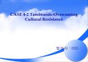 CASE 4-2 Tambrands-Overcoming Cultural Resistance(탐브랜즈의 문화적 극복) 1페이지