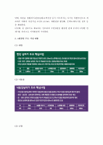 (A+ 레포트) 4대강 사업의 문제점 및 개선방안  3페이지