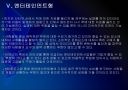 [1인창업] 1인 창조기업 성공유형.PPT 16페이지