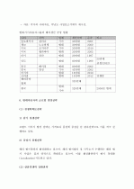 (A+ ) 현대자동차의 글로벌 경영전략  6페이지