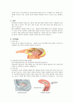 자궁육종 sarcoma of uterus – 자궁평활근육종 Ieiomyosarcoma of 케이스 스터디 Case study 5페이지