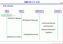 CDMA 인증 13페이지