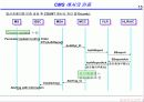 CDMA 인증 15페이지