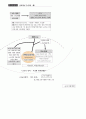 7차선택중심교육과정과 수능결합의 의미분석 4페이지