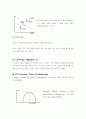 정부규제론 2페이지