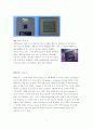 마이크로 프로세서의 역사 (CPU) 7페이지