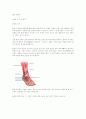 발에 대하여 1페이지