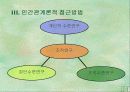한국의 행정조직에 관한 실증 연구 11페이지