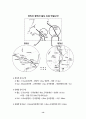 대북 화해협력정책 추진과 북한의 자세 17페이지