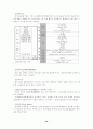 칠성사이다 경영전략 22페이지