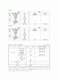 인터넷 사업계획서 (가상성형) 12페이지