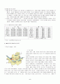 월드컵의 현황 및 파급효과와 발전방향 6페이지