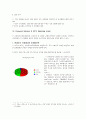 팅(ⓣing)광고전략 3페이지