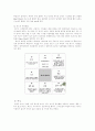 [스포츠] 스키 16페이지