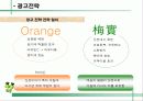 웅진식품 초록매실 기획서 ( 마케팅전략 광고전략 광고 홍보 음료수 51페이지
