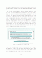 세이클럽 기업조사 (인터넷비지니스 마케팅전략 기업경영 경영전략 비즈니스 13페이지