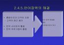 국제마케팅전략 연구 - IT기술이 국제 마케팅 전략에 미친 영향을 중심 12페이지