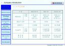  대한항공 마케팅전략 (항공사 항공업 8페이지