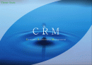 새로운 비즈니스 패러다임 CRM사례 SK Telecom CRM Solution  1페이지