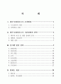 제주국제자유도시종합계획 1페이지