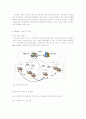 지식관리시스템(KMS)에서의 실시간 멀티미디어 메신저의 역할 5페이지