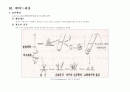 각 식물별 조직배양 27페이지