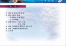삼성전자의 중국 마케팅 전략 3페이지