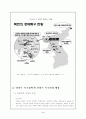 (북한경제) 신의주 경제특구의 지정배경과 한국의 대응전략 5페이지