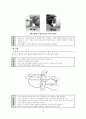 볼링에 대하여(학습지도안) 20페이지