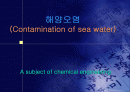 해양오염 1페이지